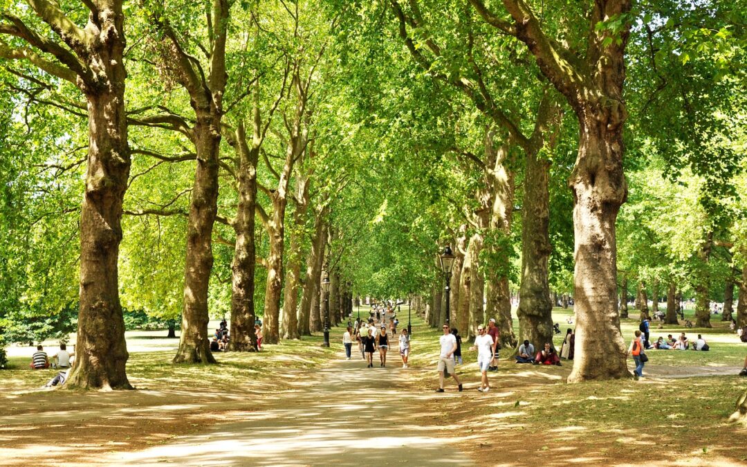 Informing UK policy for building resilience to extreme heat