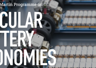 Casual Research Assistance on Circular Battery Economies